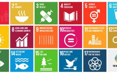 Obiettivi e cambiamenti al piano per l’agenda ONU al 2030